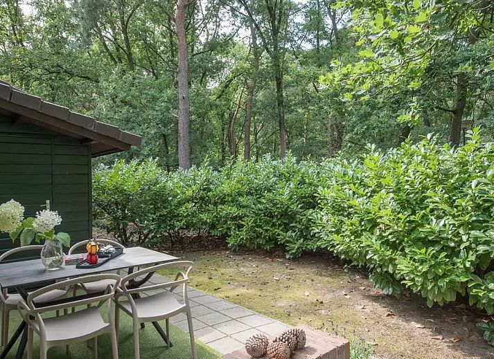 Unterkunft 436039 - Bungalow Noordoost Brabant - Pimpelmees