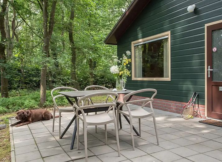 Verblijf 436046 - Bungalow Noordoost Brabant - Blauwe Pauw