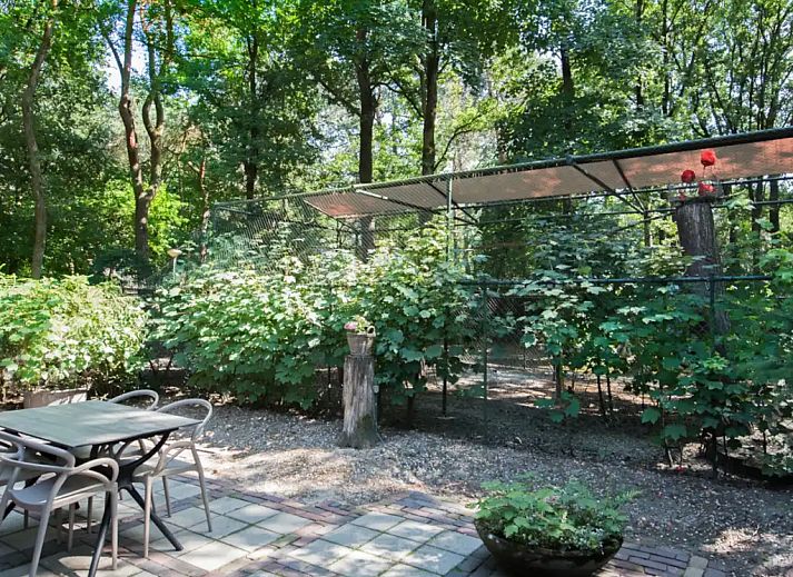 Verblijf 436056 - Vakantiewoning Noordoost Brabant - 4-persoons Villa Plus