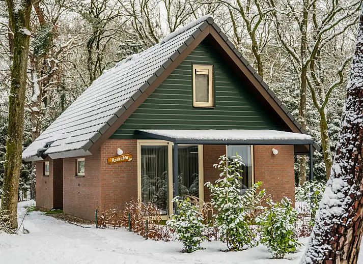 Verblijf 436061 - Bungalow Noordoost Brabant - 6-persoons Bosvilla All Electric