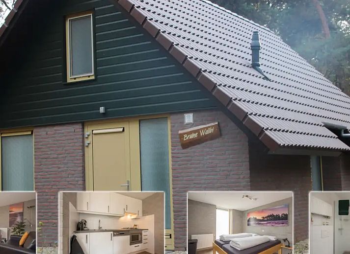 Verblijf 436062 - Vakantiewoning Noordoost Brabant - 4-persoons Lodges