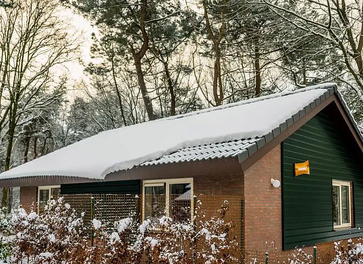 Verblijf 436065 - Bungalow Noordoost Brabant - 4-persoons Bosvilla All Electric