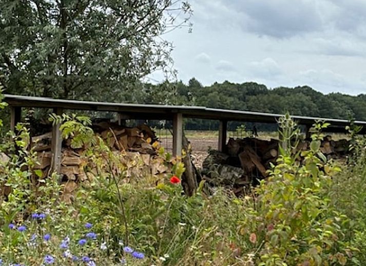 Unterkunft 436201 - Ferienhaus Noordoost Brabant - Vakantiehuis in Son