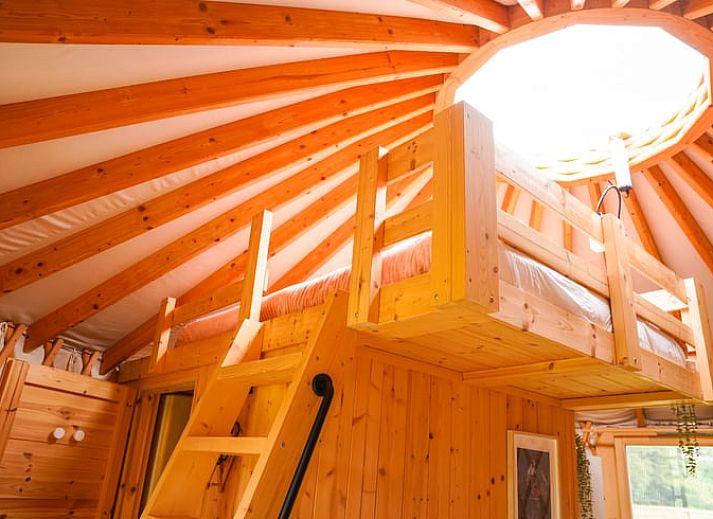 Modern bathroom in Holiday home in Ledeacker, equipped with shower and wooden finish.