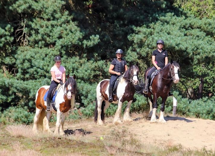 Stylish sink in Holiday home in Ledeacker with wooden details and mirror.