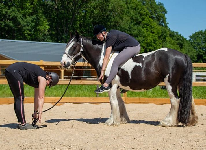 Stylish sink in Holiday home in Ledeacker with wooden details and mirror.