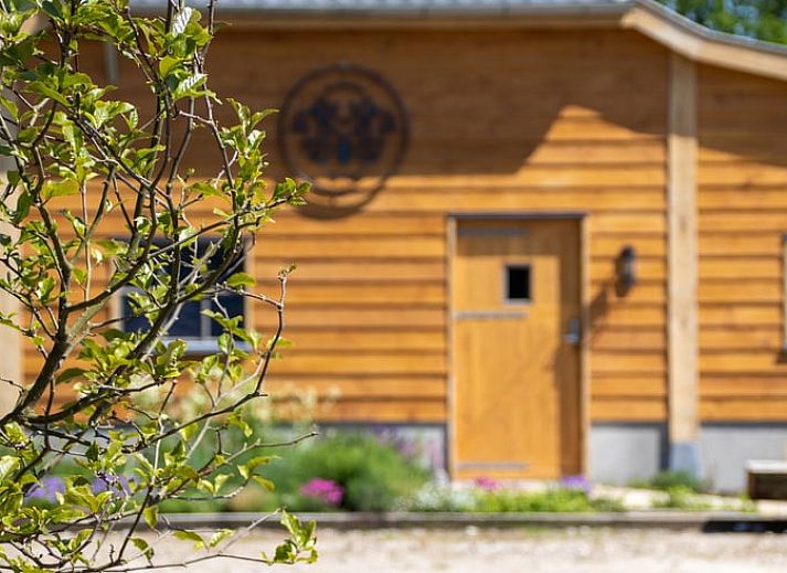 Stylish sink in Holiday home in Ledeacker with wooden details and mirror.