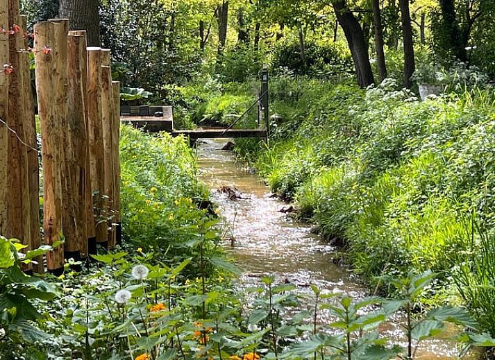 Wooden staircase and wall decoration in Holiday home in Ledeacker, Northeast Brabant.