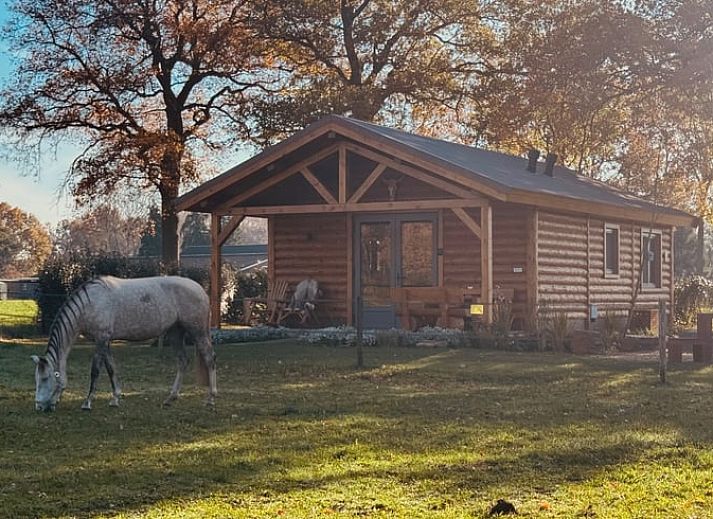 Cozy wooden cottage in Ledeacker Northeast Brabant with porch and seating area, surrounded by nature.