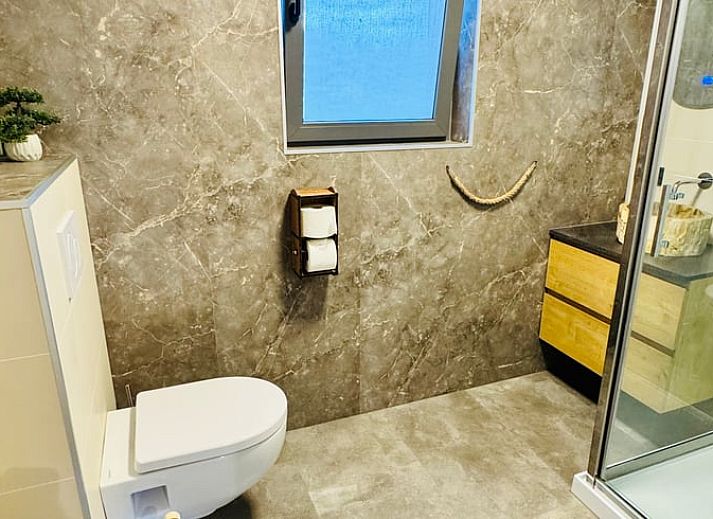 Rustic cottage in Ledeacker, Northeast Brabant, surrounded by nature with grazing horse in the foreground, perfect for a relaxing stay.