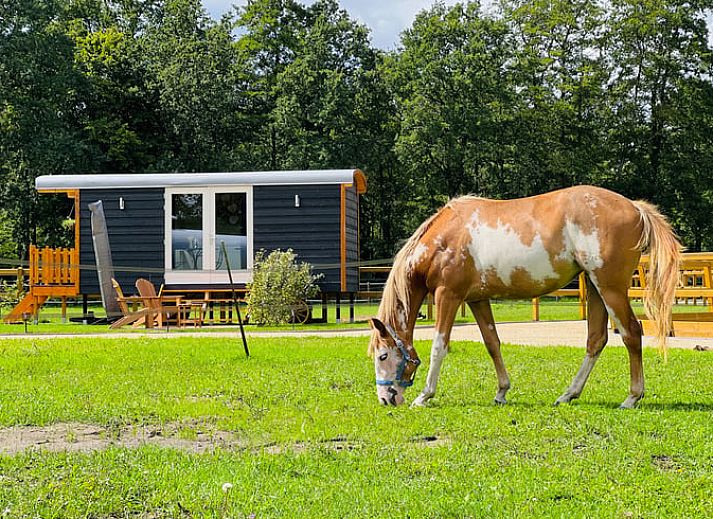 Stijlvolle badkamer in Huisje in Ledeacker, een vakantiehuis in Noordoost Brabant, Noord Brabant, met moderne inrichting en sfeervolle verlichting.