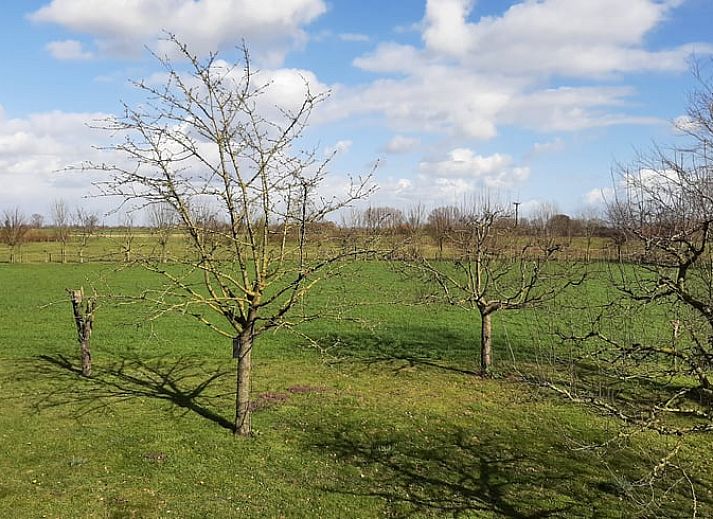 Gezellige slaapkamer in Vakantiehuisje in Keent, Noordoost Brabant. Comfortabel verblijf in Noord Brabant met rustieke charme.