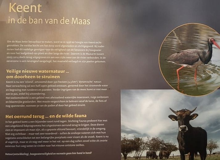 Uitzicht vanuit Vakantiehuisje in Keent, Noordoost Brabant, met groene natuur en serene omgeving.