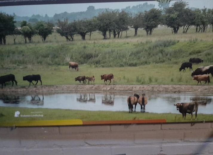 Sfeervolle slaapkamer in Vakantiehuisje in Keent, Noordoost Brabant, met uitzicht op groene velden.