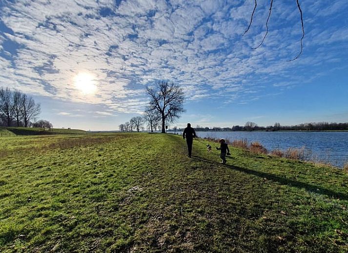 Guest house 436802 - Holiday property Noordoost Brabant - Huisje in Keent