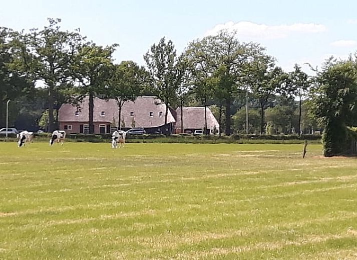 Rustiek vakantiehuisje in Breda omgeven door groen, gelegen in West Brabant, Noord Brabant.