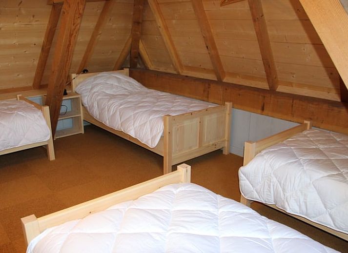 Landelijk uitzicht op vakantiehuisje in Breda met grazende koeien, West Brabant, Noord Brabant.
