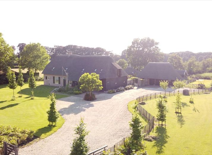 Landelijk uitzicht op vakantiehuisje in Breda met grazende koeien, West Brabant, Noord Brabant.