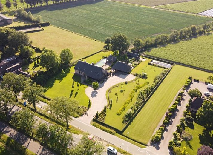 Landelijk uitzicht op vakantiehuisje in Breda met grazende koeien, West Brabant, Noord Brabant.