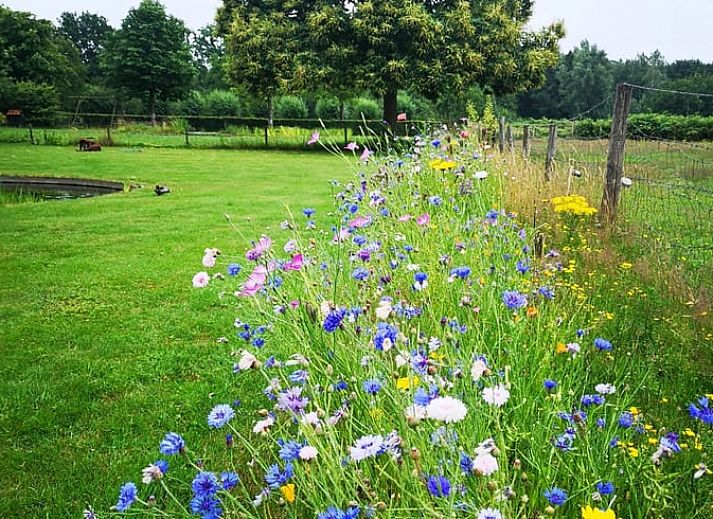Keuken en eethoek in Vakantiehuisje in Breda, West Brabant, Noord Brabant.