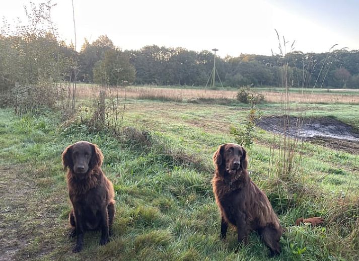 Keuken en eethoek in Vakantiehuisje in Breda, West Brabant, Noord Brabant.