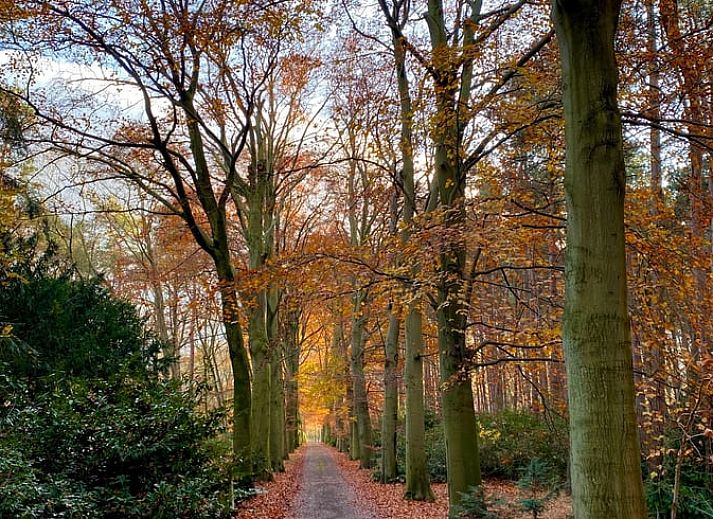 Unterkunft 440211 - Ferienhaus West Brabant - Vakantiehuis in Bergen op Zoom