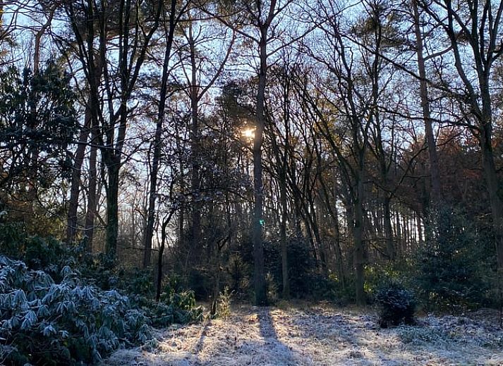 Unterkunft 440211 - Ferienhaus West Brabant - Vakantiehuis in Bergen op Zoom