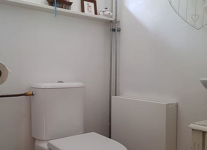 Terras met tuintafel in Vakantiehuis Ossendrecht, omringd door groene natuur in West Brabant.