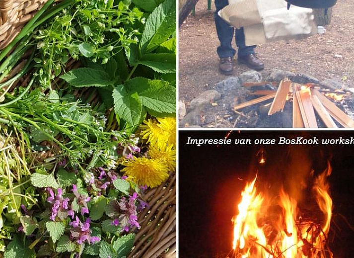 Landelijke keuken in Vakantiehuis Ossendrecht, compleet ingericht voor een comfortabel verblijf in West Brabant.