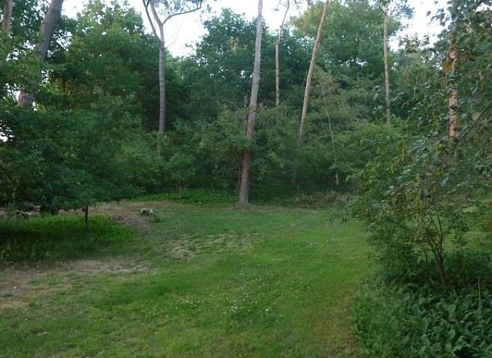 Verblijf 440307 - Vakantiewoning West Brabant - Huisje in Ossendrecht