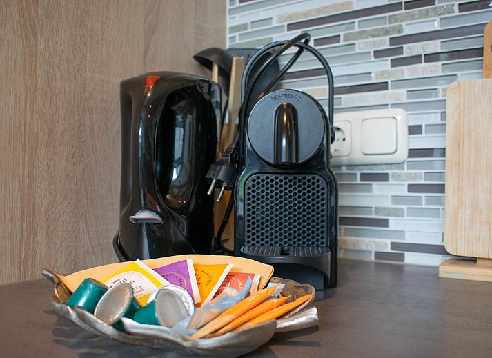 Rear view of Villa Bianco in Alphen, West Brabant with green surroundings.