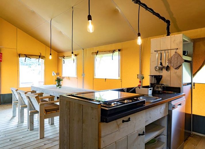 Unterkunft 440922 - Zelthaus West Brabant - De Lodge