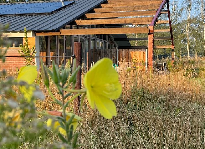 Ferienhaus in Gilze, umgeben von bluehender Natur in Westbrabant, Nordbrabant.
