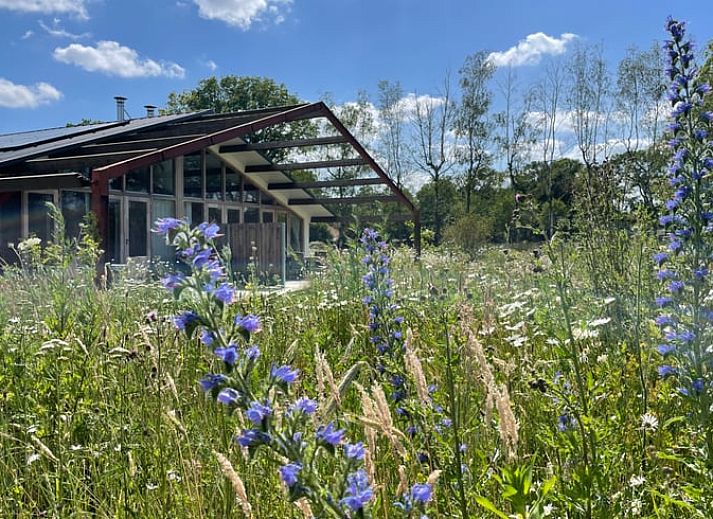 Unterkunft 441208 - Ferienhaus West Brabant - Vakantiehuisje in Gilze