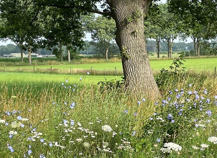 Unterkunft 441208 - Ferienhaus West Brabant - Vakantiehuisje in Gilze