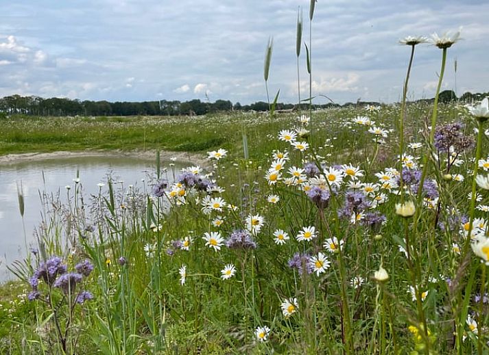 Unterkunft 441208 - Ferienhaus West Brabant - Vakantiehuisje in Gilze