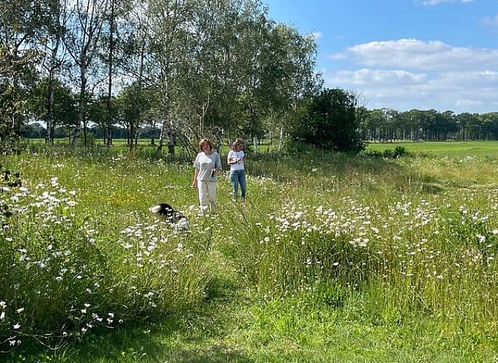 Unterkunft 441208 - Ferienhaus West Brabant - Vakantiehuisje in Gilze