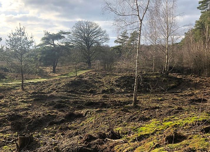 Unterkunft 441208 - Ferienhaus West Brabant - Vakantiehuisje in Gilze