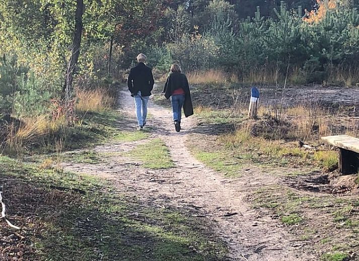 Unterkunft 441208 - Ferienhaus West Brabant - Vakantiehuisje in Gilze