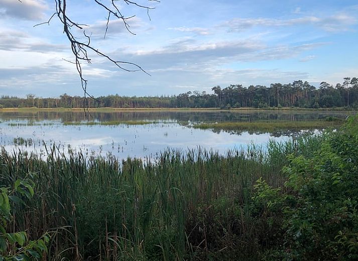 Unterkunft 441208 - Ferienhaus West Brabant - Vakantiehuisje in Gilze