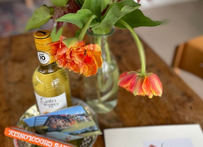 Vakantiehuis in Gilze in West Brabant biedt een prachtig uitzicht over een weelderige tuin in Noord Brabant.