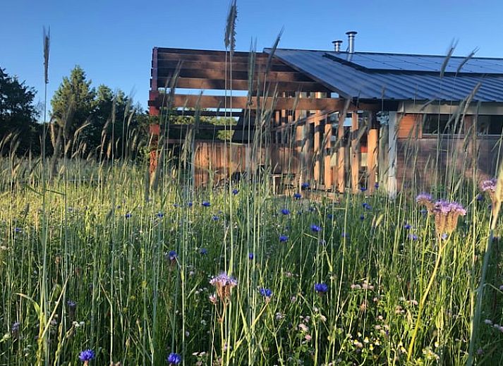 Vakantiehuis in Gilze in West Brabant biedt een prachtig uitzicht over een weelderige tuin in Noord Brabant.