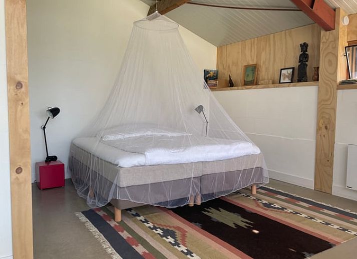 Natuurrijke omgeving bij Vakantiehuis in Gilze in West Brabant, omringd door wilde bloemen in Noord Brabant.