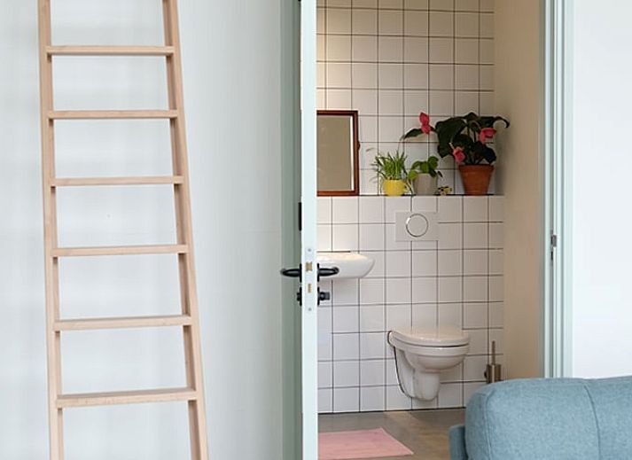 Natuurrijke omgeving bij Vakantiehuis in Gilze in West Brabant, omringd door wilde bloemen in Noord Brabant.