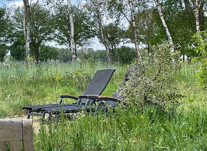 Sfeervolle woonkamer in Vakantiehuis in Gilze met kleurrijke tulpen, gelegen in West Brabant, Noord Brabant.