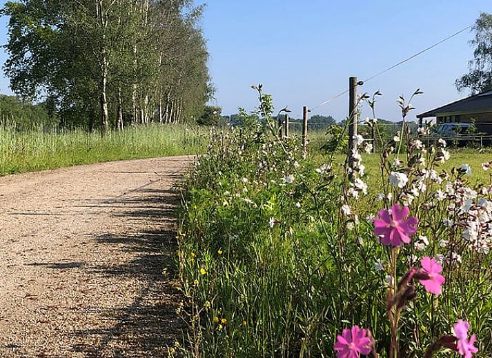 Sfeervolle woonkamer in Vakantiehuis in Gilze met kleurrijke tulpen, gelegen in West Brabant, Noord Brabant.