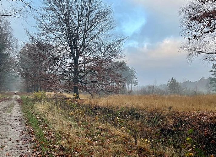 Sfeervolle woonkamer in Vakantiehuis in Gilze met kleurrijke tulpen, gelegen in West Brabant, Noord Brabant.