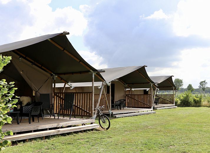 Unterkunft 441408 • Zelthaus West Brabant • Safaritent + sanitair