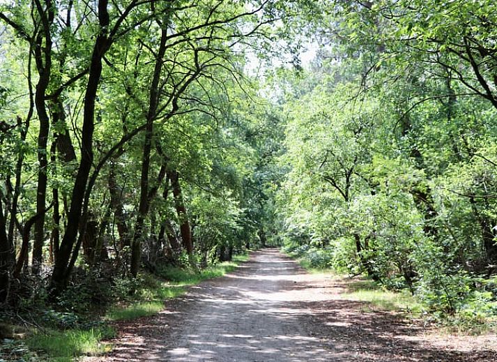 Eingang zum Cottage in Rucphen, einem modernen Ferienhaus in Westbrabant, Nordbrabant, mit Blick auf die Natur vom Flur aus.