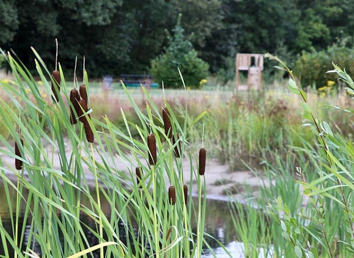 Eingang zum Cottage in Rucphen, einem modernen Ferienhaus in Westbrabant, Nordbrabant, mit Blick auf die Natur vom Flur aus.